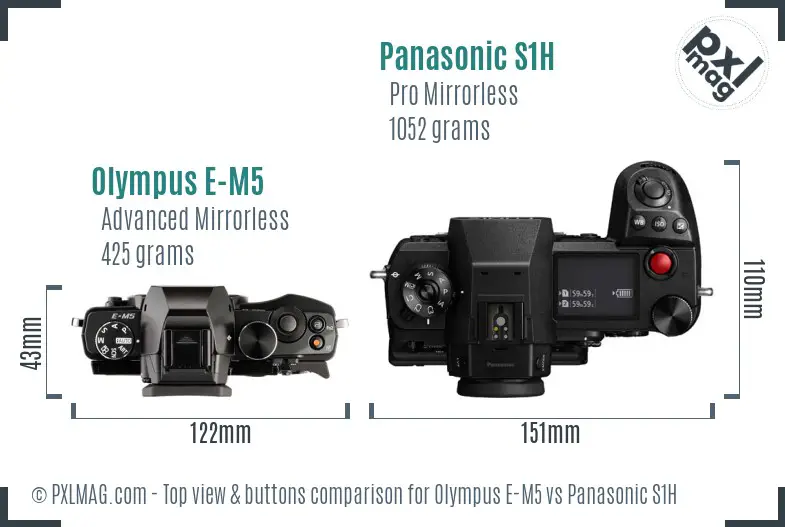 Olympus E-M5 vs Panasonic S1H top view buttons comparison