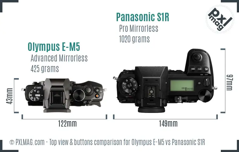 Olympus E-M5 vs Panasonic S1R top view buttons comparison