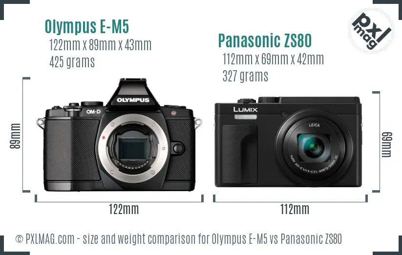 Olympus E-M5 vs Panasonic ZS80 size comparison