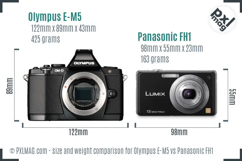 Olympus E-M5 vs Panasonic FH1 size comparison
