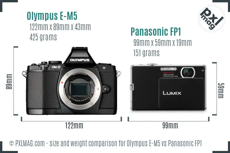 Olympus E-M5 vs Panasonic FP1 size comparison