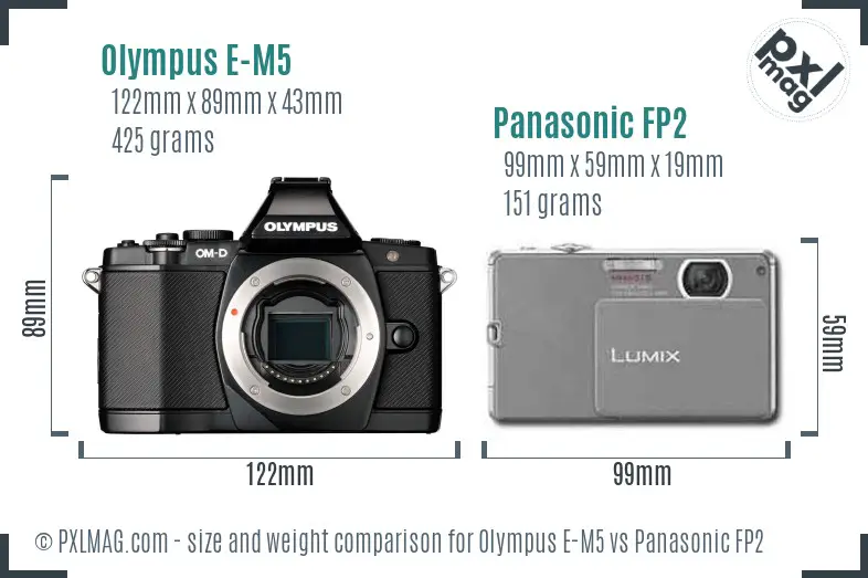 Olympus E-M5 vs Panasonic FP2 size comparison