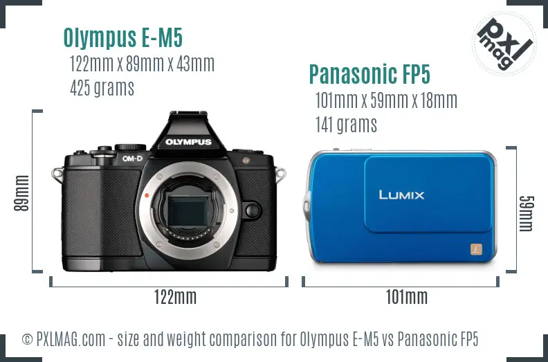 Olympus E-M5 vs Panasonic FP5 size comparison