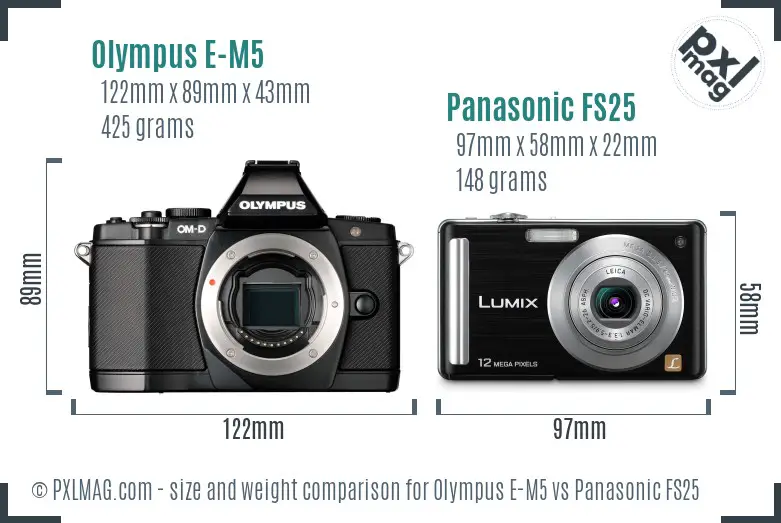 Olympus E-M5 vs Panasonic FS25 size comparison