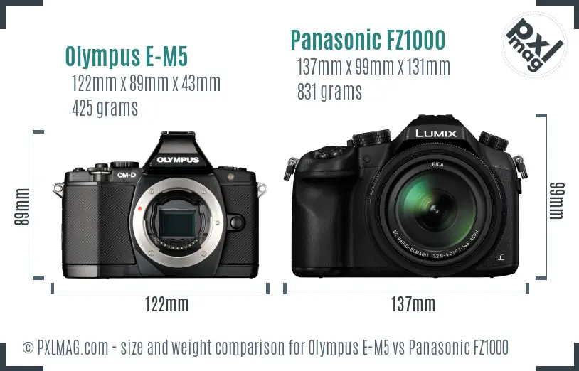 Olympus E-M5 vs Panasonic FZ1000 size comparison
