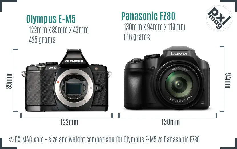 Olympus E-M5 vs Panasonic FZ80 size comparison