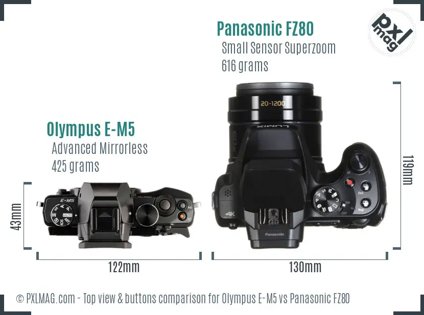 Olympus E-M5 vs Panasonic FZ80 top view buttons comparison