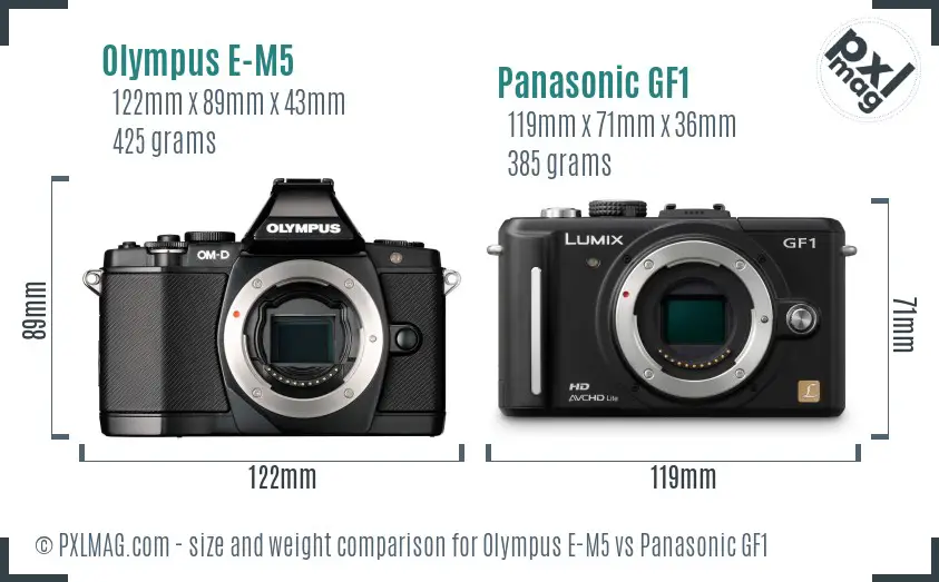 Olympus E-M5 vs Panasonic GF1 size comparison