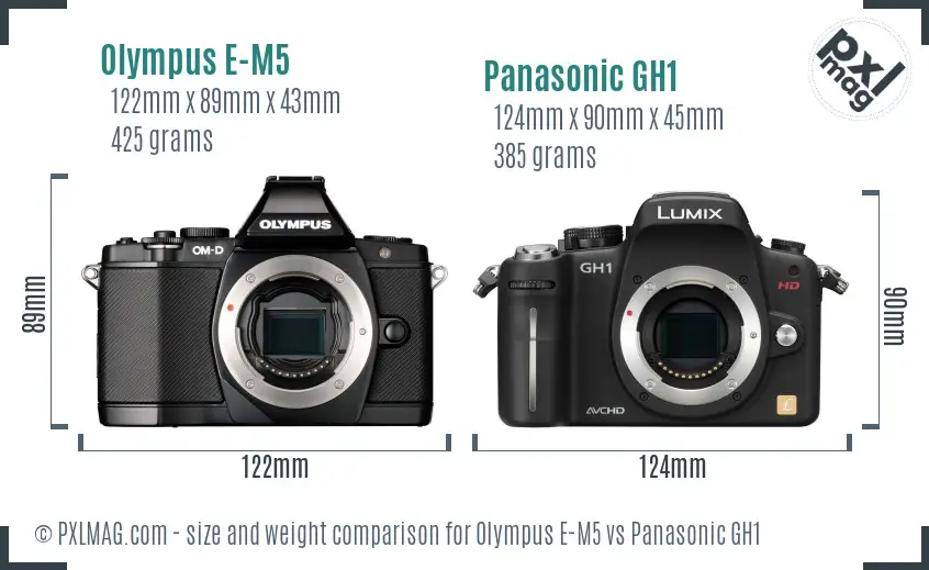 Olympus E-M5 vs Panasonic GH1 size comparison