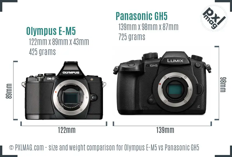 Olympus E-M5 vs Panasonic GH5 size comparison