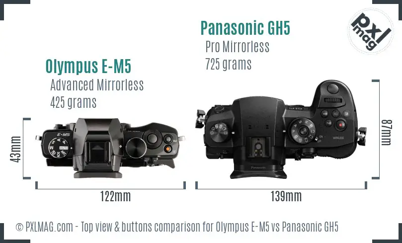 Olympus E-M5 vs Panasonic GH5 top view buttons comparison