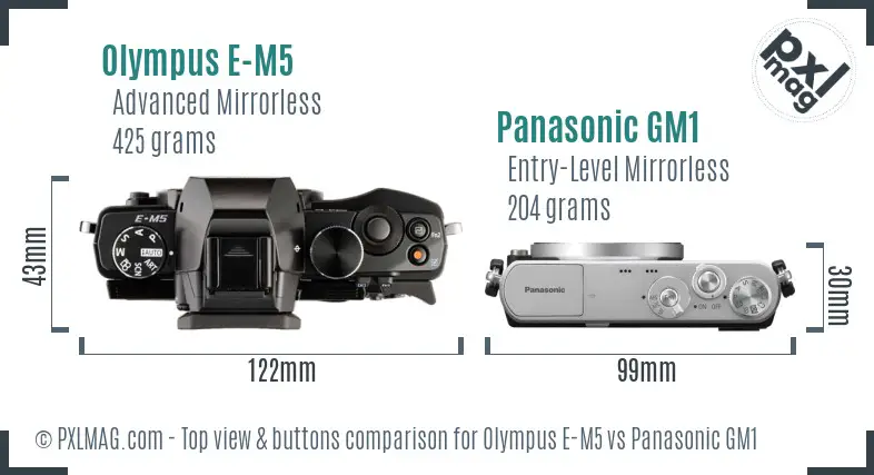 Olympus E-M5 vs Panasonic GM1 top view buttons comparison