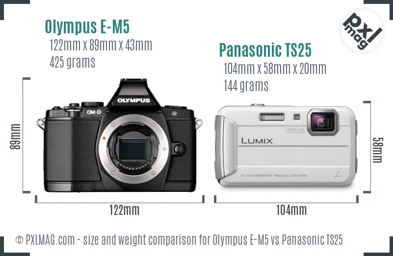 Olympus E-M5 vs Panasonic TS25 size comparison