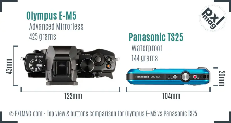 Olympus E-M5 vs Panasonic TS25 top view buttons comparison