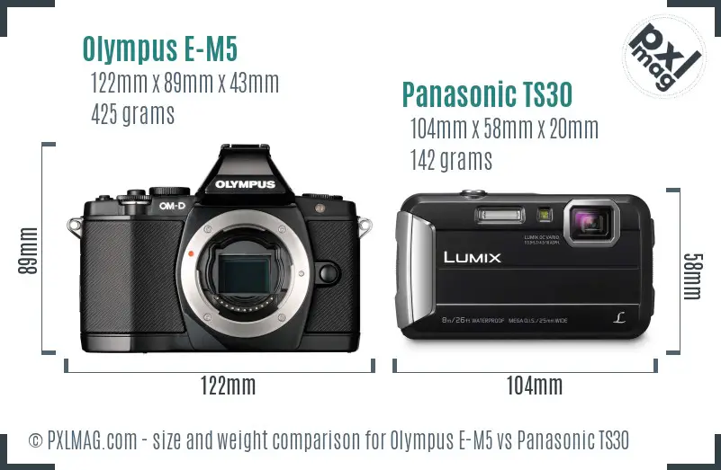 Olympus E-M5 vs Panasonic TS30 size comparison