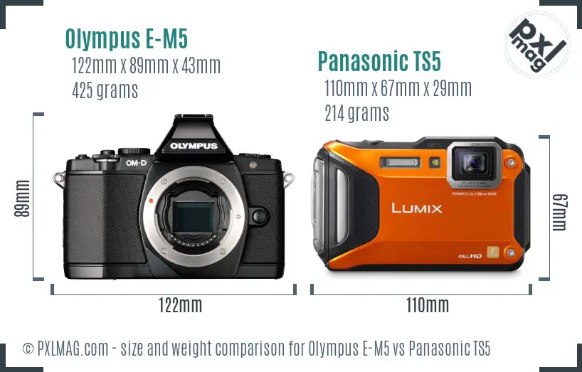 Olympus E-M5 vs Panasonic TS5 size comparison
