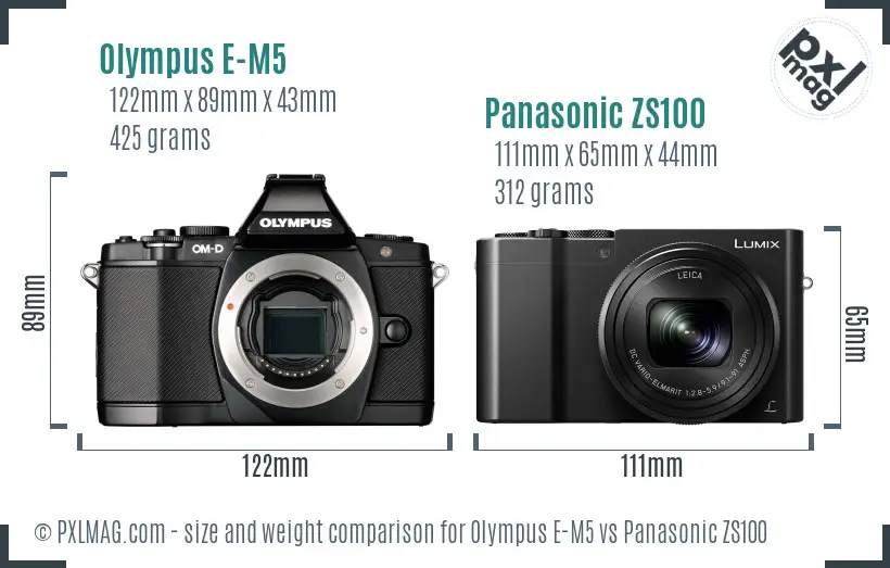 Olympus E-M5 vs Panasonic ZS100 size comparison
