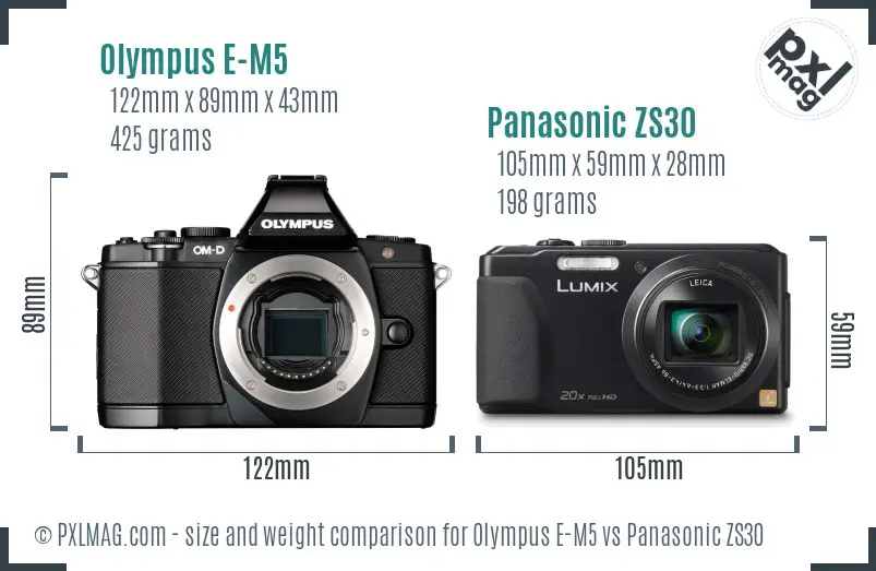 Olympus E-M5 vs Panasonic ZS30 size comparison