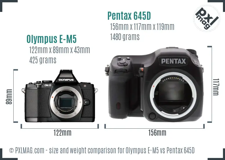 Olympus E-M5 vs Pentax 645D size comparison