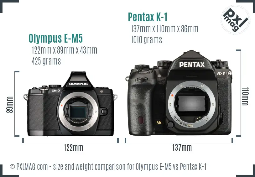 Olympus E-M5 vs Pentax K-1 size comparison