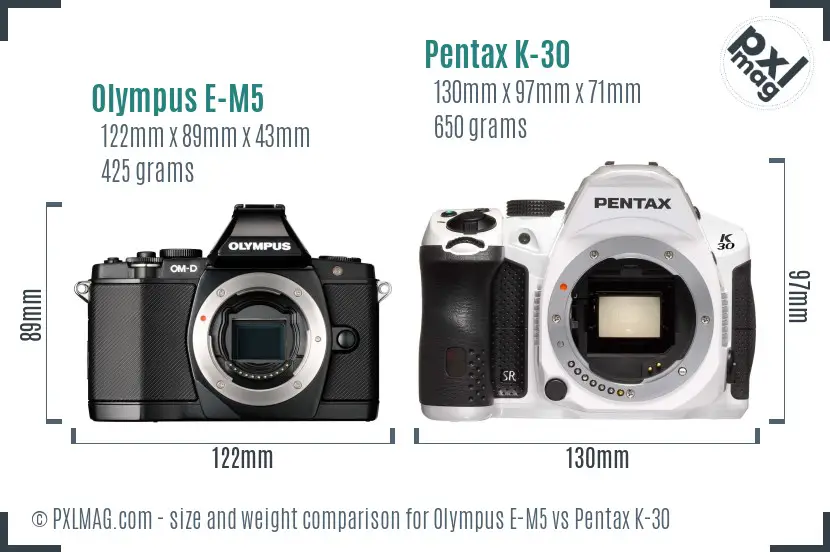 Olympus E-M5 vs Pentax K-30 size comparison