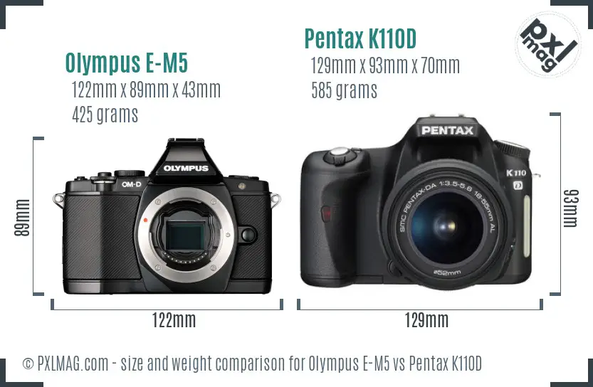 Olympus E-M5 vs Pentax K110D size comparison