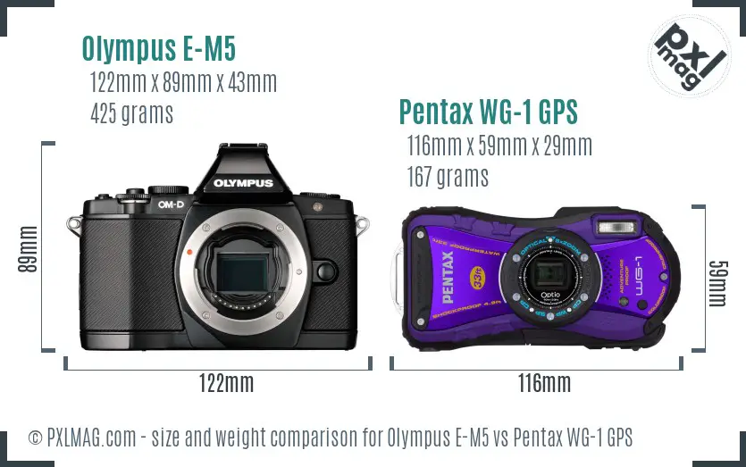 Olympus E-M5 vs Pentax WG-1 GPS size comparison