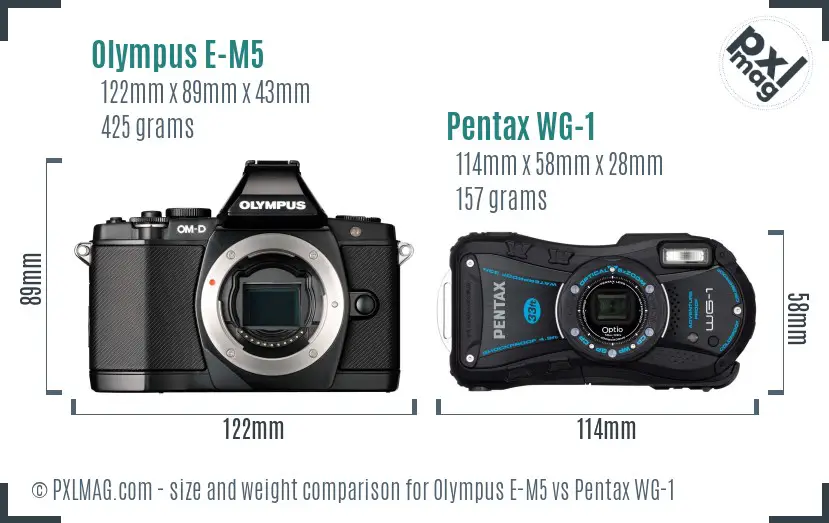 Olympus E-M5 vs Pentax WG-1 size comparison