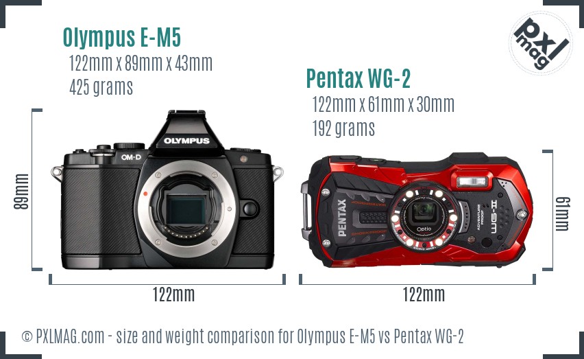 Olympus E-M5 vs Pentax WG-2 size comparison