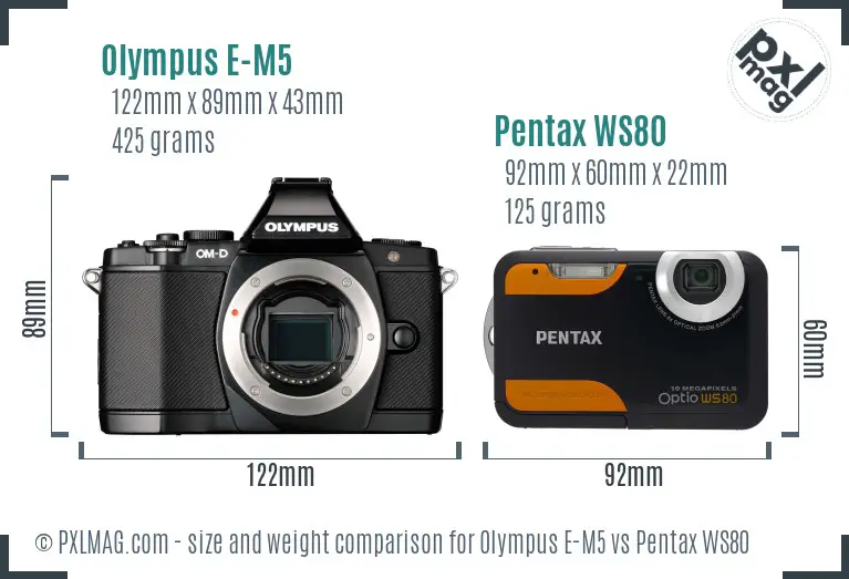 Olympus E-M5 vs Pentax WS80 size comparison