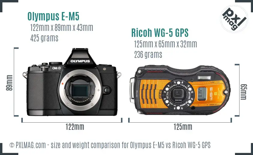Size and Ergonomics