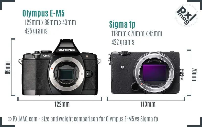 Olympus E-M5 vs Sigma fp size comparison