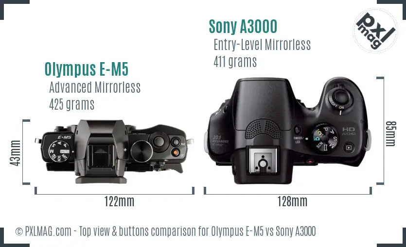 Olympus E-M5 vs Sony A3000 top view buttons comparison