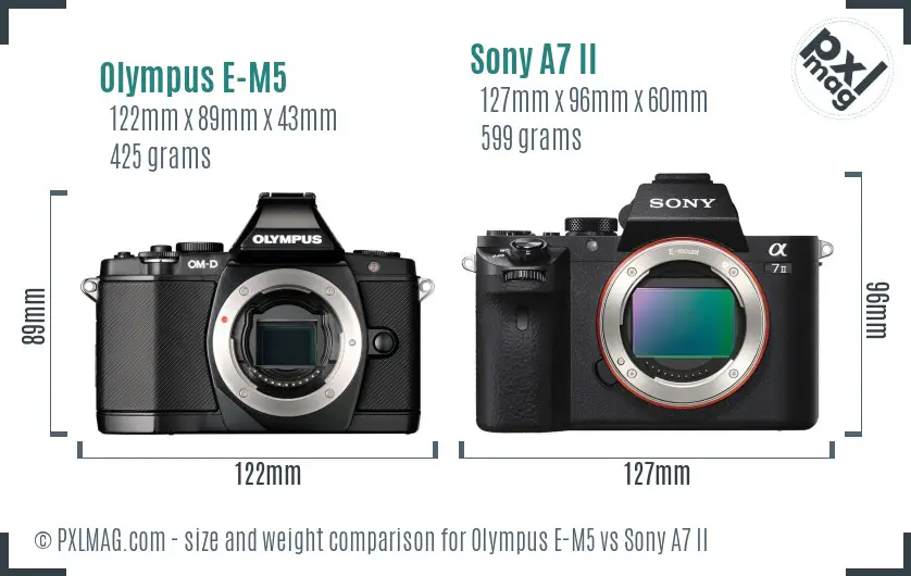 Olympus E-M5 vs Sony A7 II size comparison
