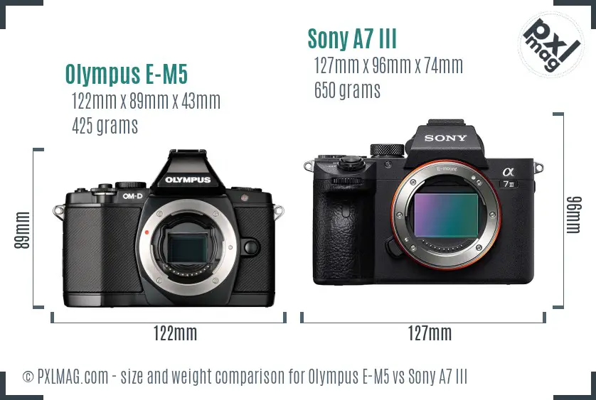 Olympus E-M5 vs Sony A7 III size comparison