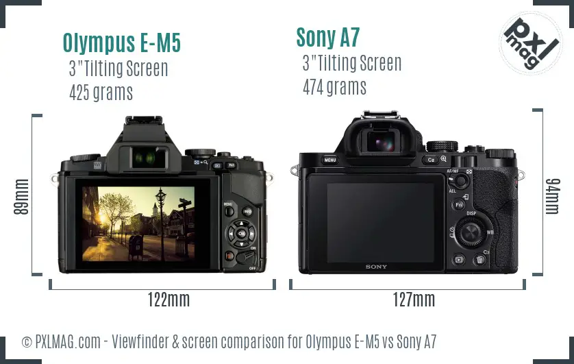 Olympus E-M5 vs Sony A7 Screen and Viewfinder comparison