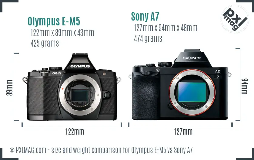 Olympus E-M5 vs Sony A7 size comparison