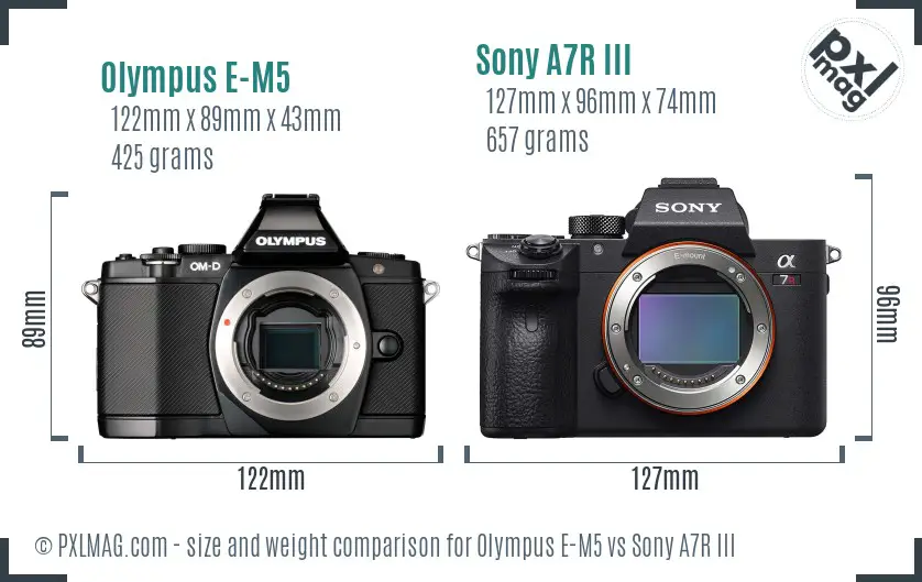 Olympus E-M5 vs Sony A7R III size comparison