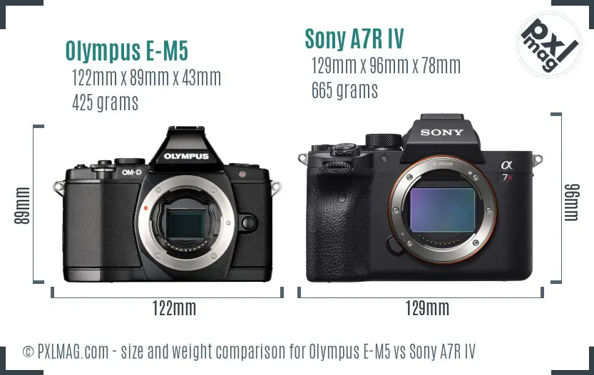 Olympus E-M5 vs Sony A7R IV size comparison