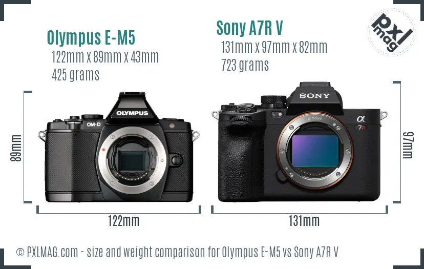 Olympus E-M5 vs Sony A7R V size comparison