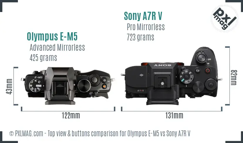 Olympus E-M5 vs Sony A7R V top view buttons comparison