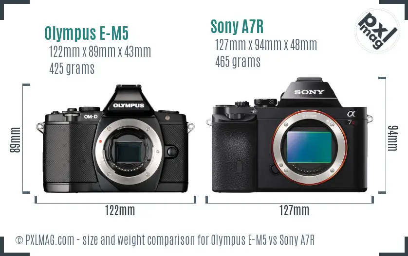Olympus E-M5 vs Sony A7R size comparison