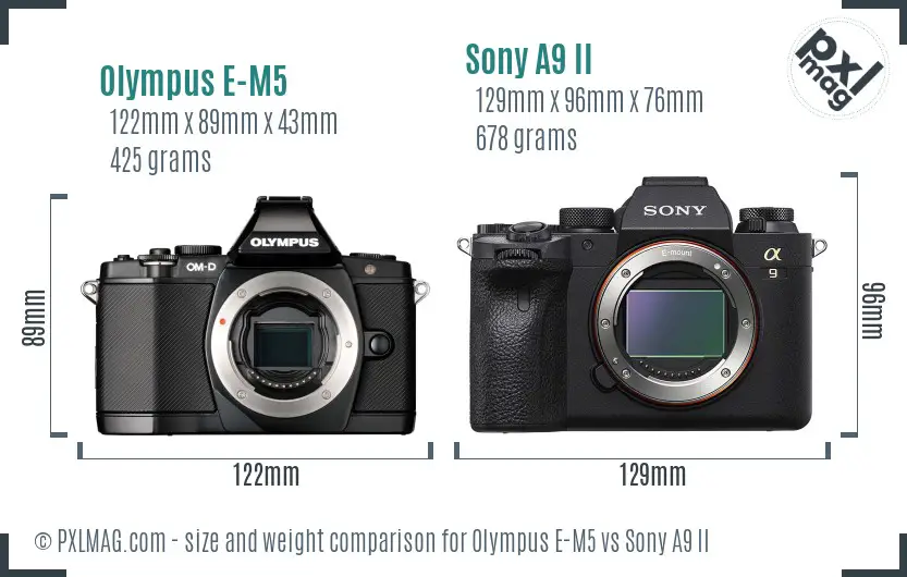 Olympus E-M5 vs Sony A9 II size comparison