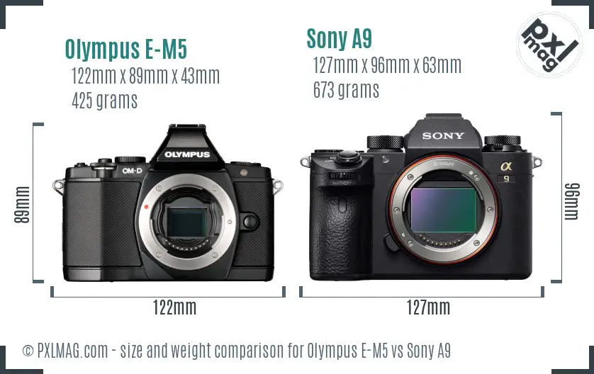 Olympus E-M5 vs Sony A9 size comparison