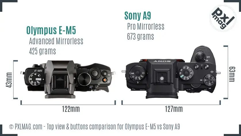 Olympus E-M5 vs Sony A9 top view buttons comparison