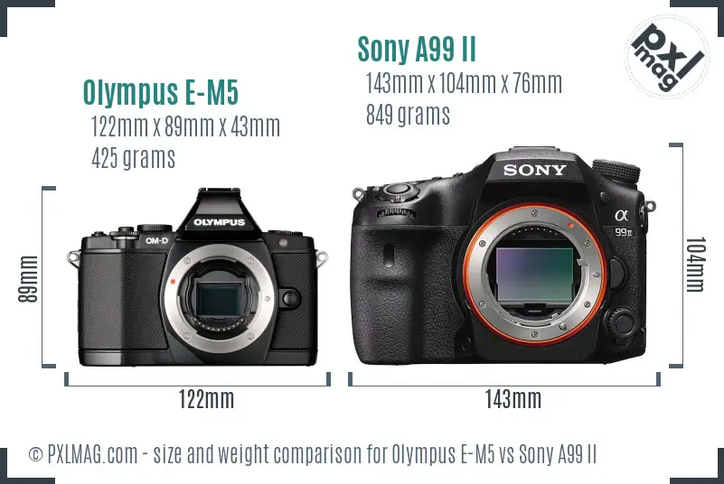 Olympus E-M5 vs Sony A99 II size comparison