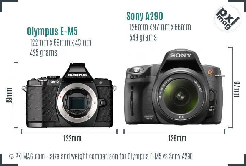 Olympus E-M5 vs Sony A290 size comparison