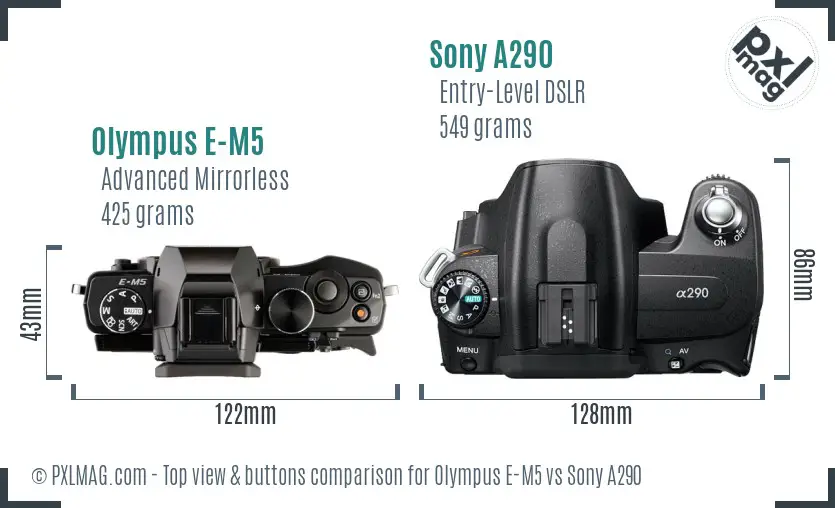 Olympus E-M5 vs Sony A290 top view buttons comparison