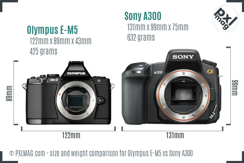 Olympus E-M5 vs Sony A300 size comparison