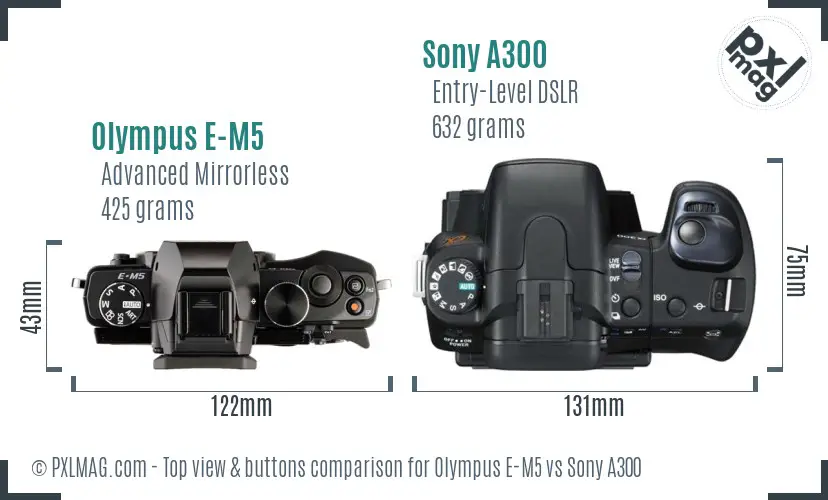 Olympus E-M5 vs Sony A300 top view buttons comparison